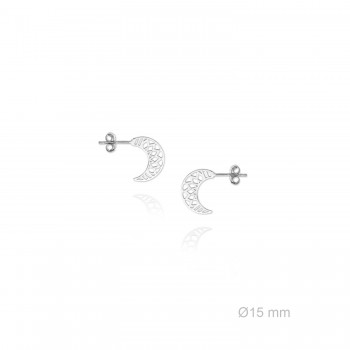 Boucles d'oreilles en Argent
