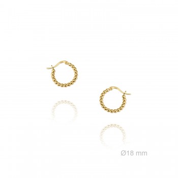 Boucles d'oreilles en Argent