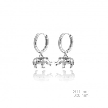 Silver Earrings