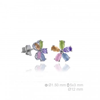 Pendientes de Plata de Ley...