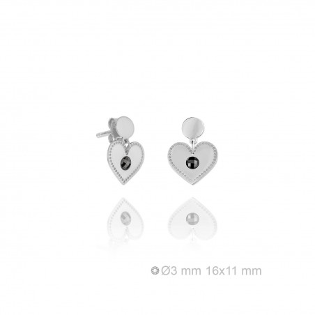 Boucles d'oreilles en Argent
