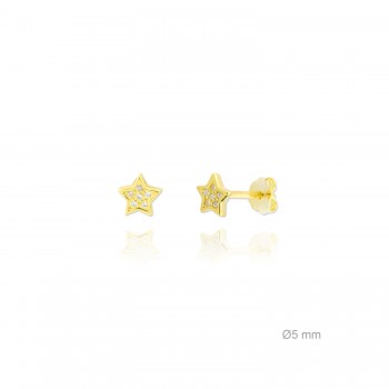 Pendientes de Plata de Ley...