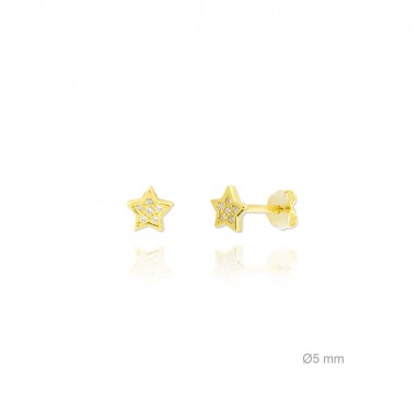 Boucles d'oreilles en Argent