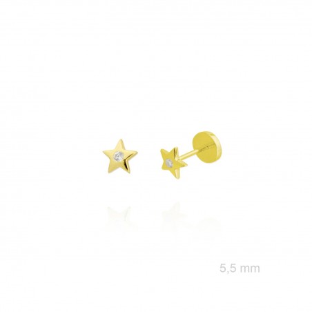 Silver Earrings with Cubir Zirconium