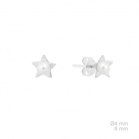 Boucles d'oreilles en Argent