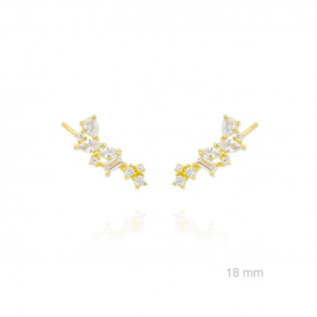 Trepador de Plata de Ley