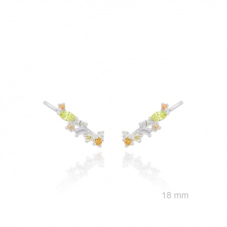 Trepador de Plata de Ley