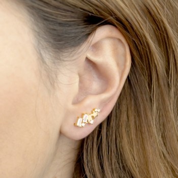 Silver Ear Climbers 2