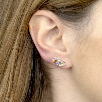 Silver Ear Climbers 2