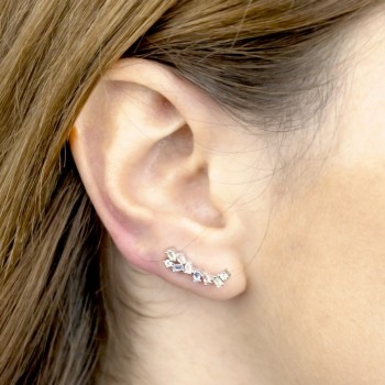 Silver Ear Climbers 2