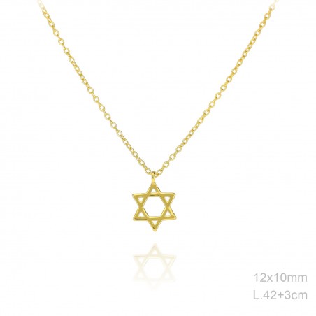 Gargantilla Dorada Estrella David