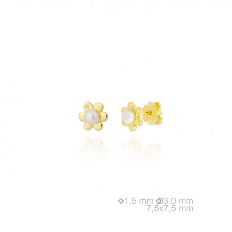 Pendientes de Plata de Ley 