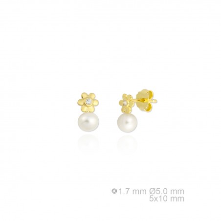 Boucles d'oreilles en Argent