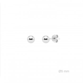 Boucles d'oreilles en Argent