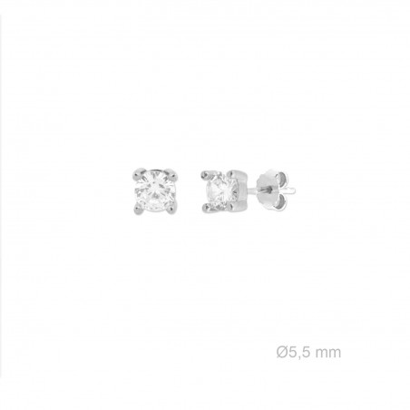 Boucles d'oreilles en Argent