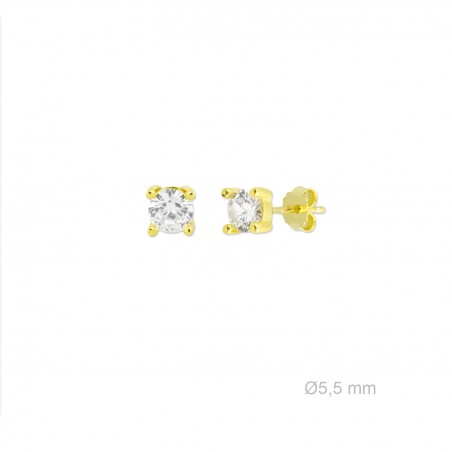 Boucles d'oreilles en Argent