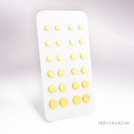 Display - 12 Stainless steel earrings