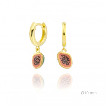 Boucles d'oreilles en Argent