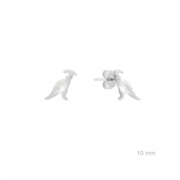 Pendientes de Plata de Ley...