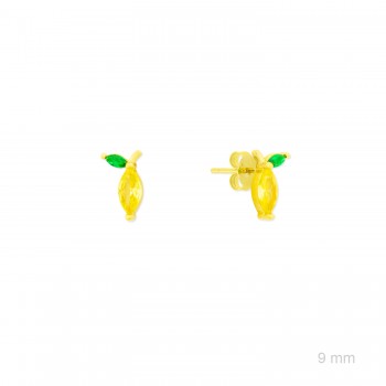 Pendientes de Plata de Ley...