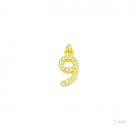 Charm de Plata de Ley (Número 9)