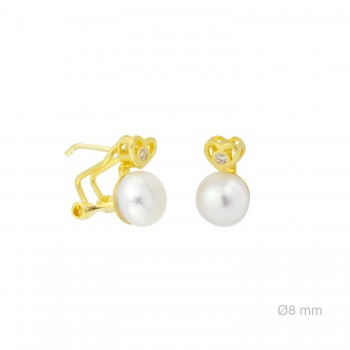 Boucles d'oreilles en Argent