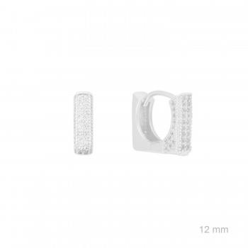 Silver earrings