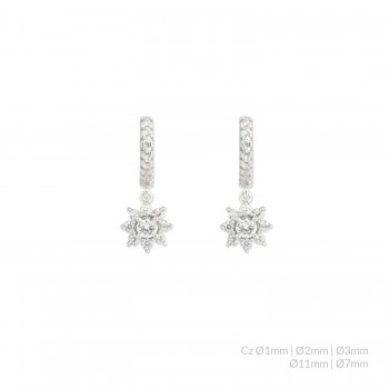 Boucles d'oreilles en...