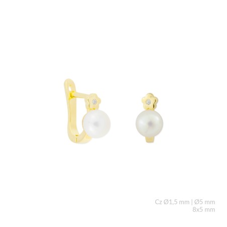 Brincos de Prata Esterlina com zircônia