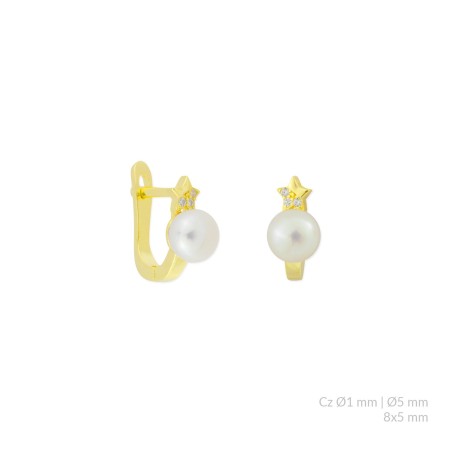 Silver earrings with cubic zirconium