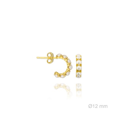 Boucles d'oreilles en Argent