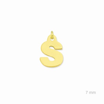 Charm de Plata de Ley... 2