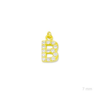 Charm de Plata de Ley... 2