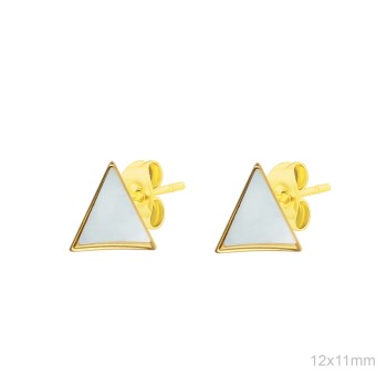 Stainless Steel Earrings
