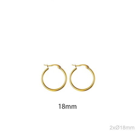 Stainless Steel Earrings