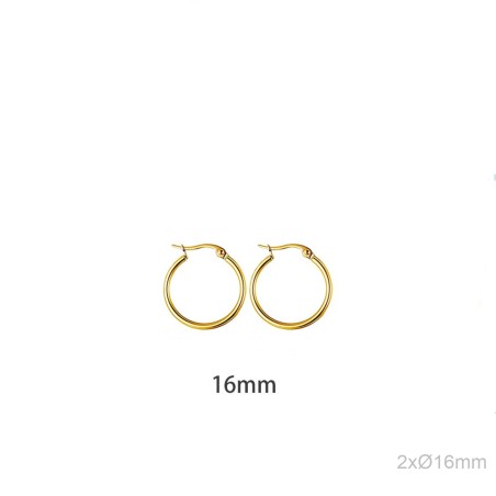 Stainless Steel Earrings