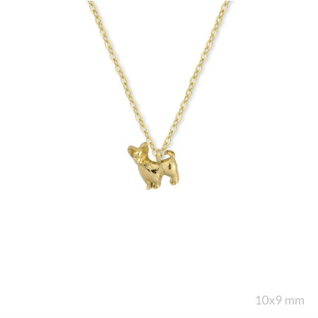 Gargantilla de Plata de Ley | Yorkshire