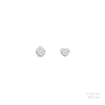 Pendientes de Plata de Ley...