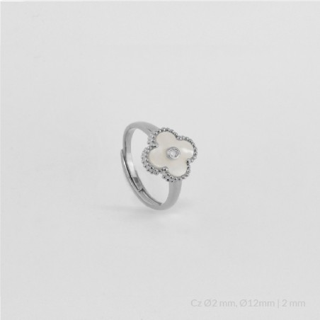 Anillo de Plata de Ley