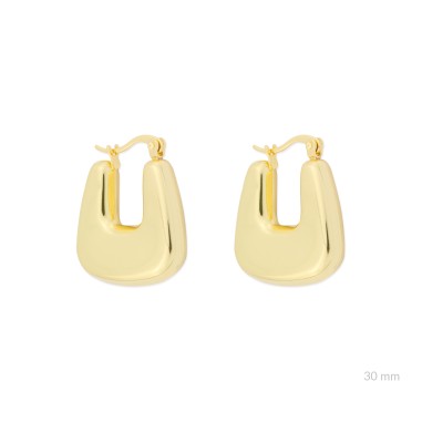 Stainless Steel Earrings