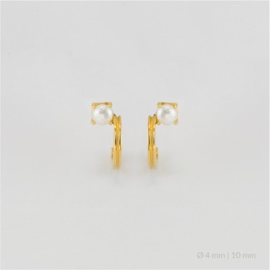 Boucles d'oreilles en Argent