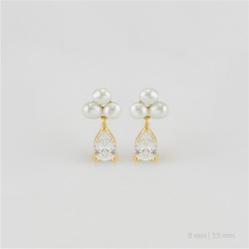 Pendientes de Plata de Ley