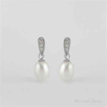 Pendientes de Plata de Ley