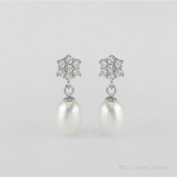 Silver Earrings