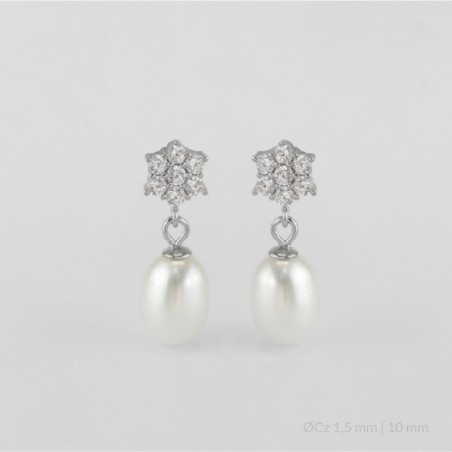 Pendientes de Plata de Ley