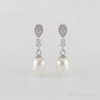 Pendientes de Plata de Ley