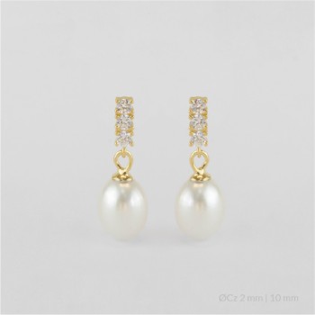 Boucles d'oreilles en Argent