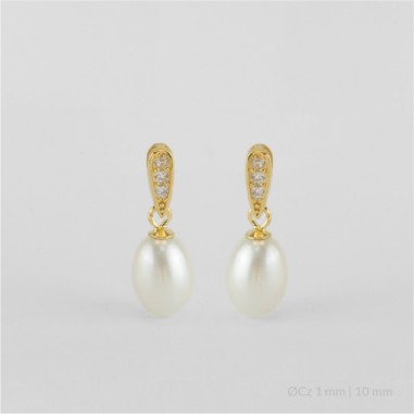 Pendientes de Plata de Ley