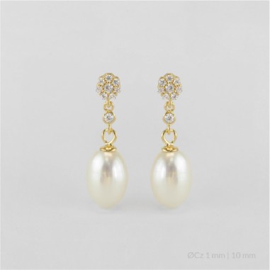 Boucles d'oreilles en Argent