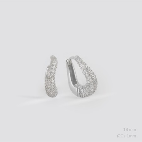 Boucles d'oreilles en Argent